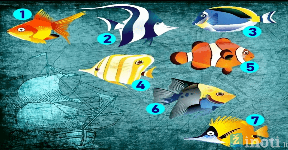 Pasirinkite žuvį ir sužinokite, kas laukia ateinančią savaitę