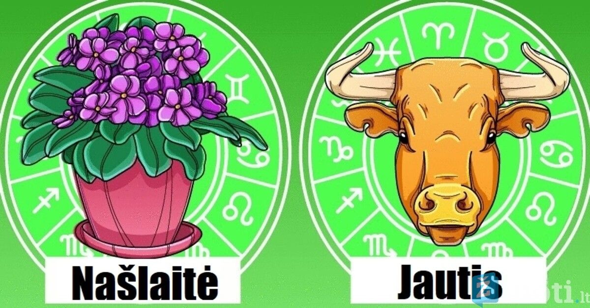 Koks kambarinis augalas yra jūsų talismanas pagal Zodiako ženklą?