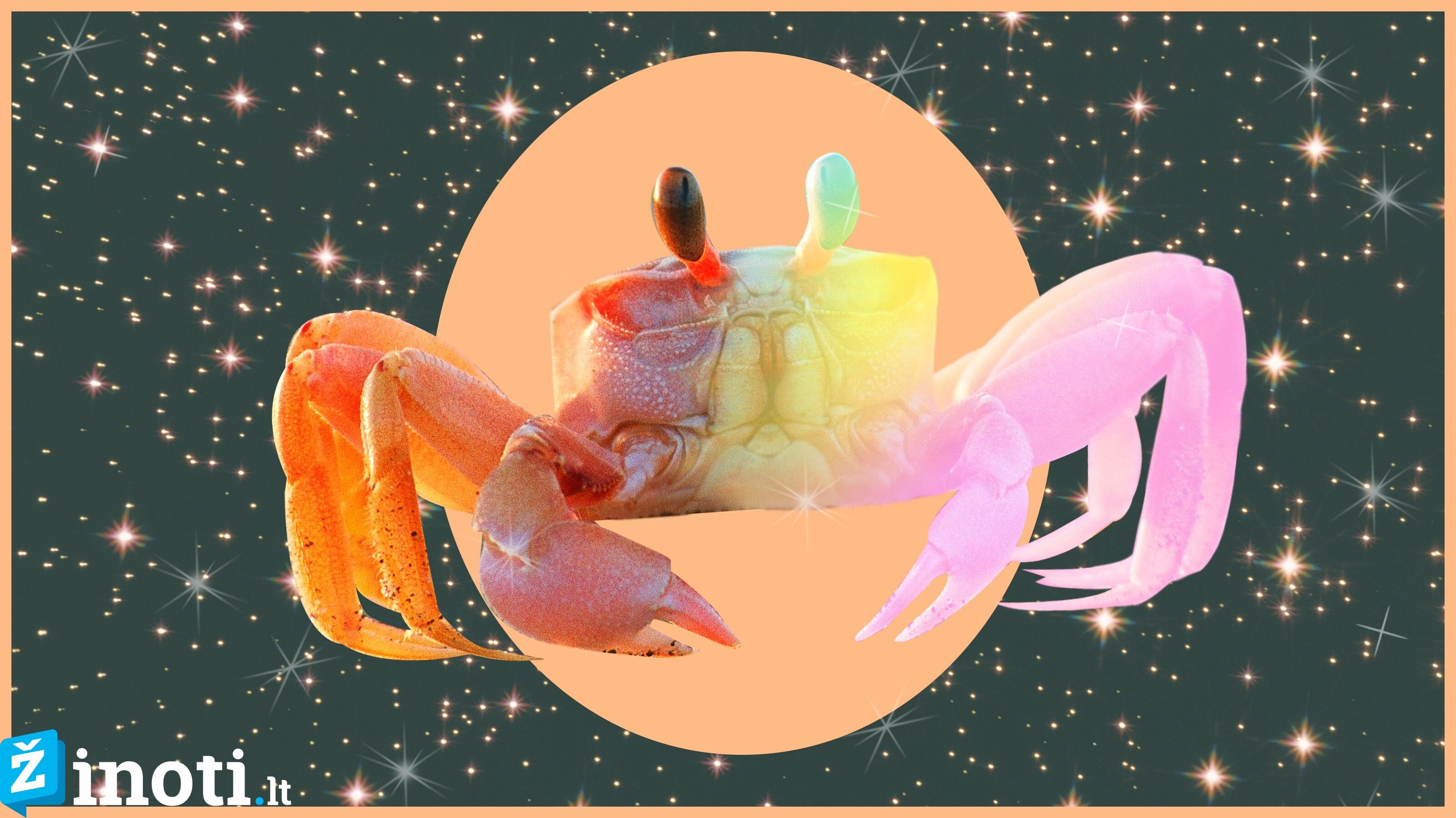 vėžys, Vėžys