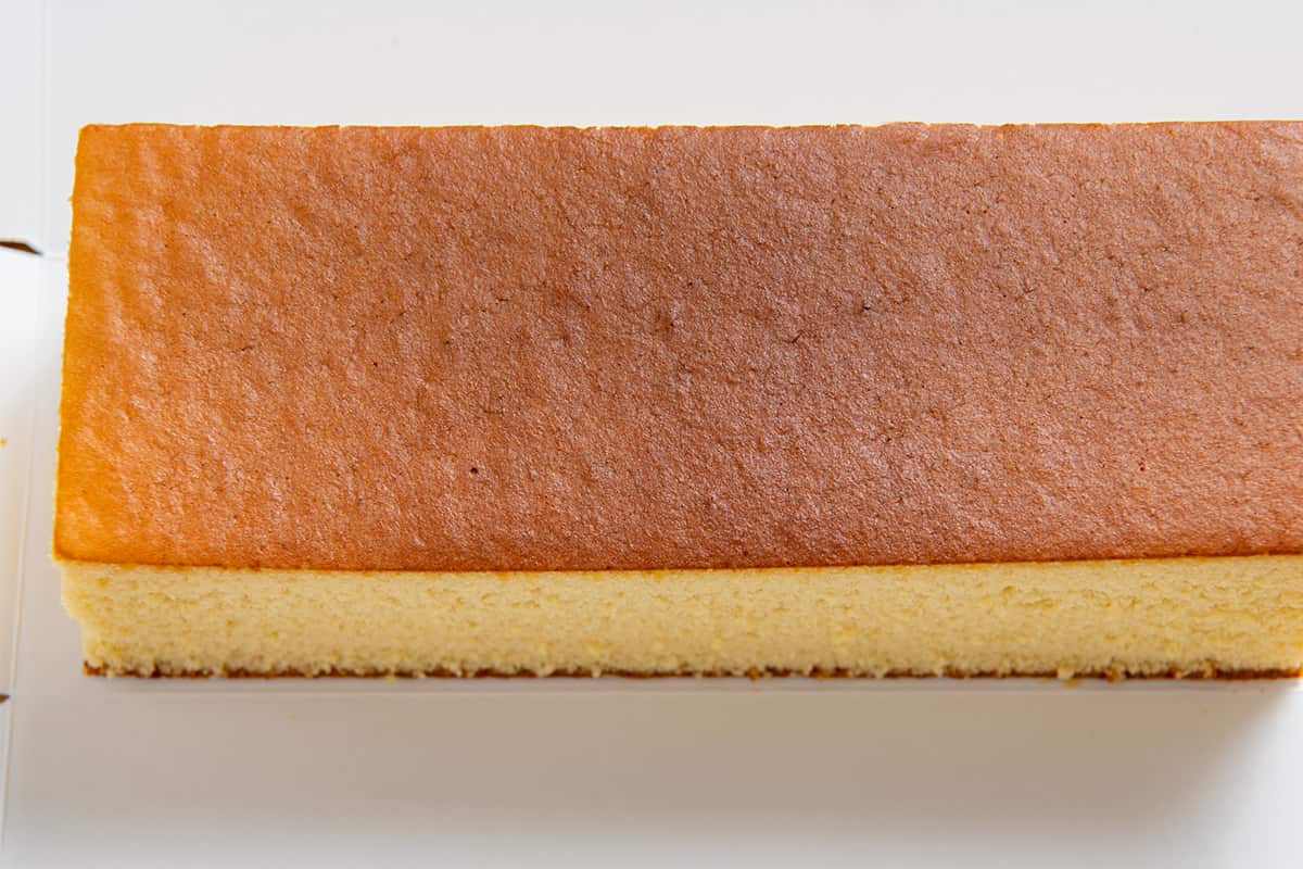 Vyniotinis