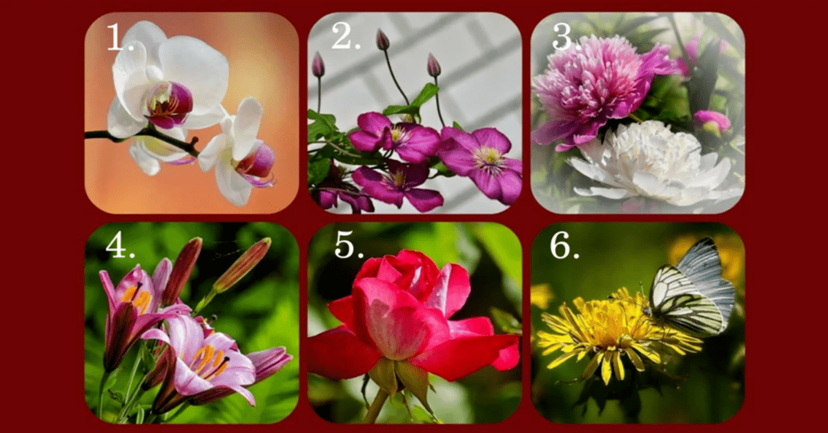 Testas: pasirinkite gėlę ir ji atskleis, koks jūsų charakteris