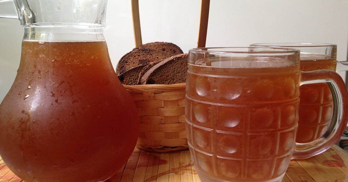 Naminė gira su cikorija, sveikas ir labai skanus gėrimas