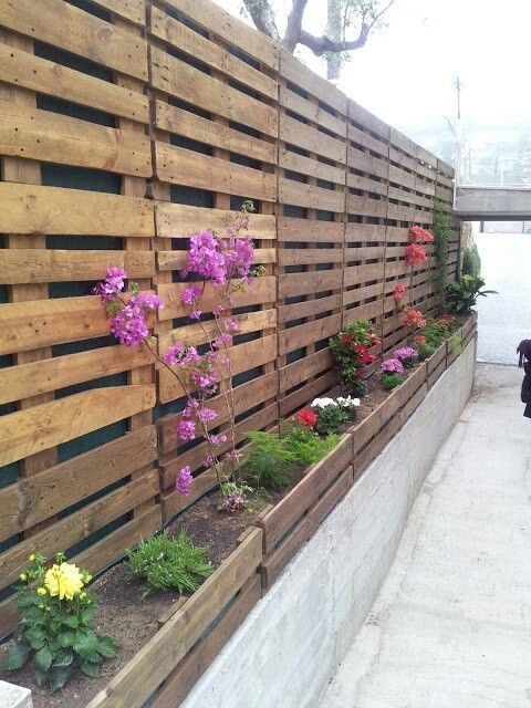 paletes