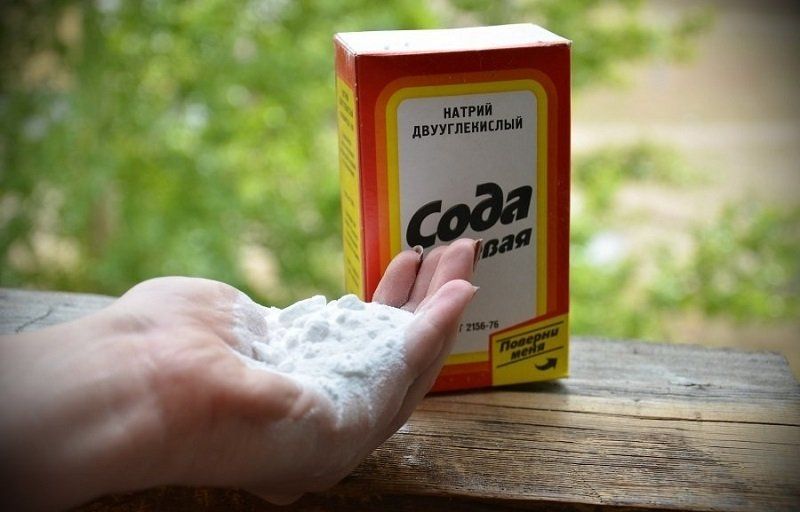 skruzdėles