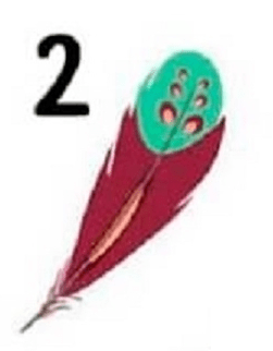 plunksną