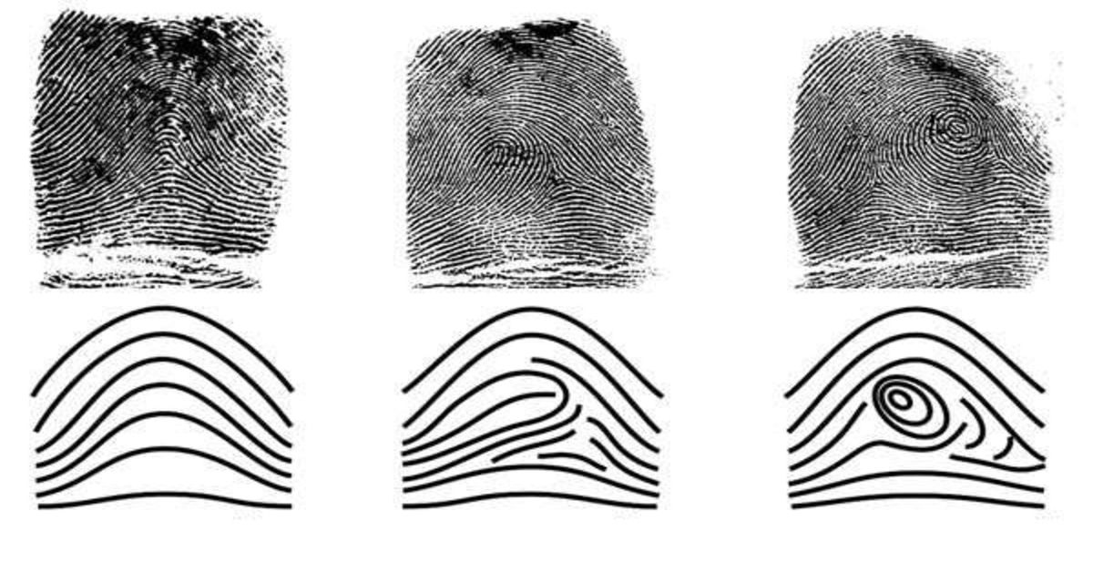 Ką pirštų atspaudai išduoda apie jūsų asmenybę ir likimą