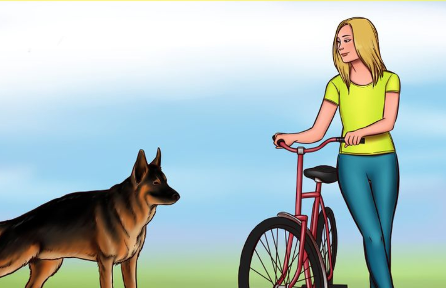 Ką daryti sutikus benamį šunį? Patarimai, kurie gali išgelbėti jūsų gyvybę