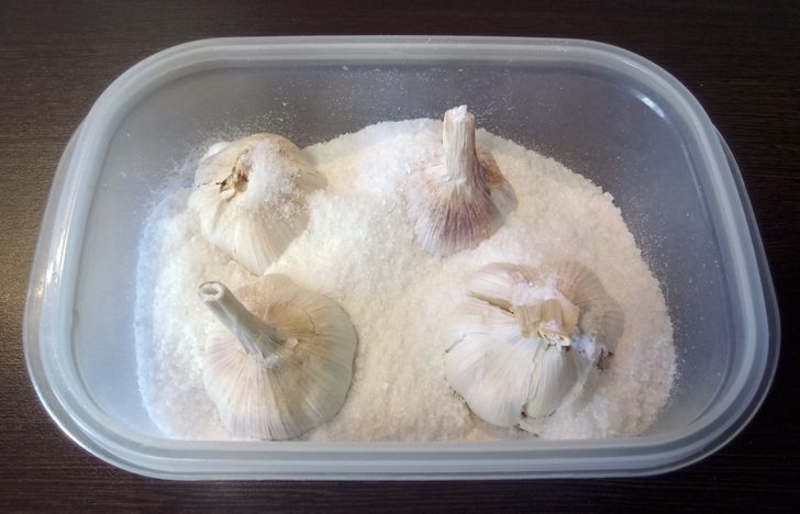 česnakus