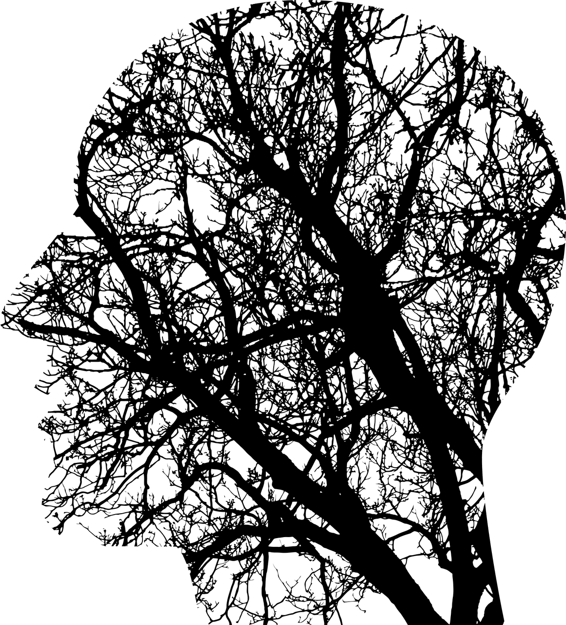 ligos