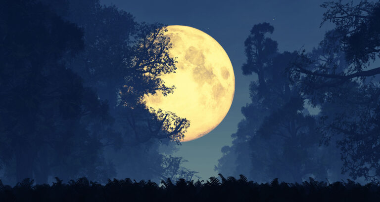 Rugsėjo 2 dienos pilnatis pakeis penkių Zodiako ženklų likimą