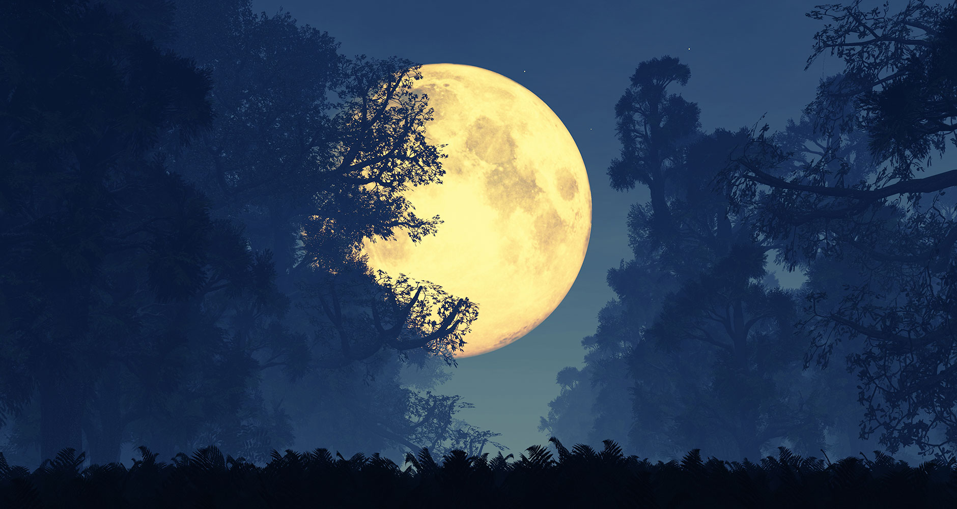 Rugsėjo 2 dienos pilnatis pakeis penkių Zodiako ženklų likimą