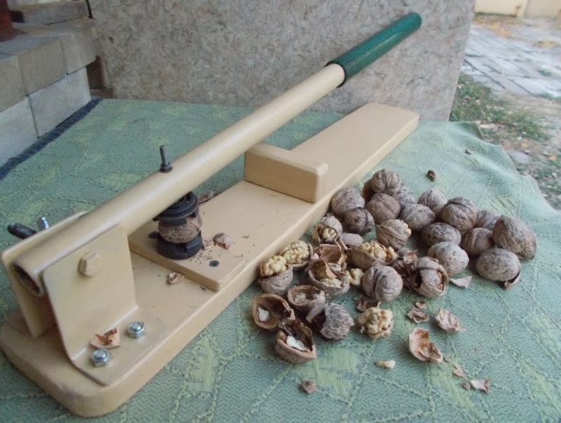 riešutai