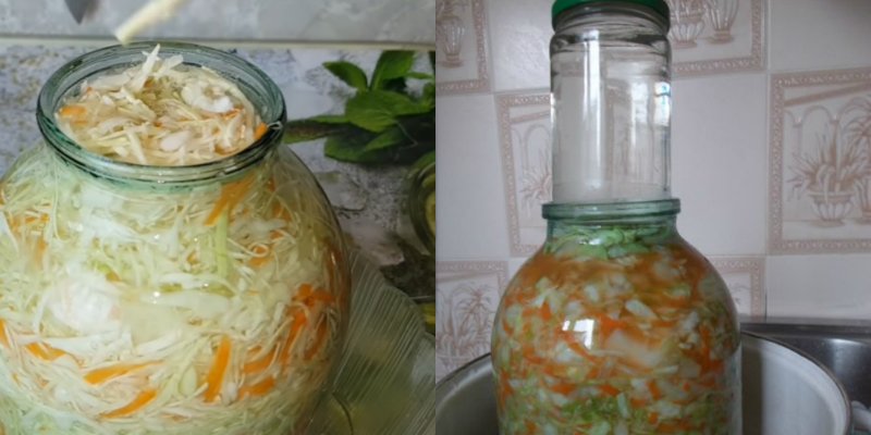 kopūstai