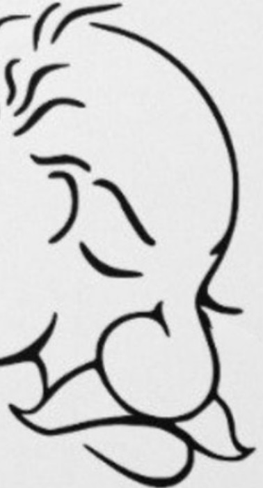 <a style=