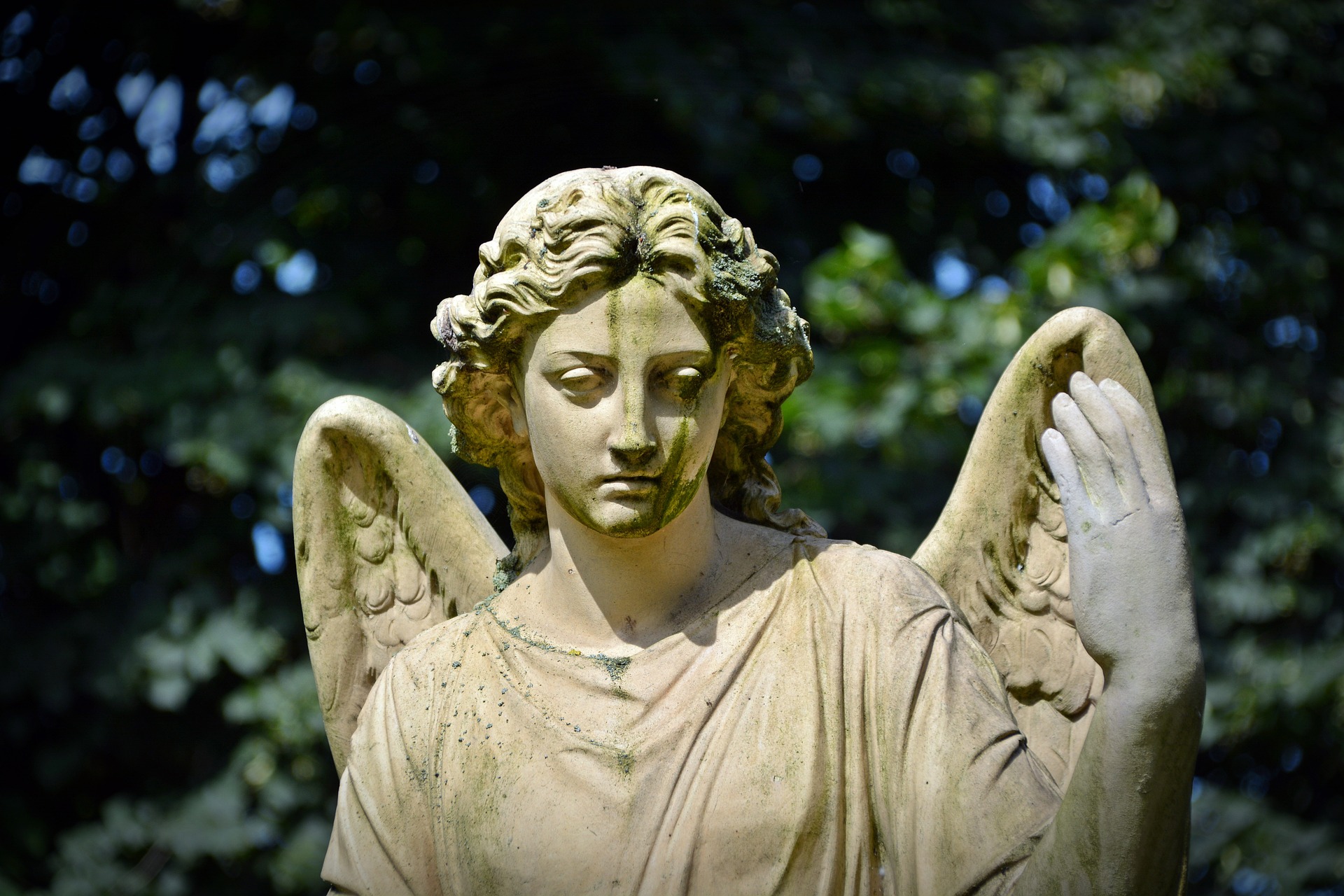 gedulas angelas