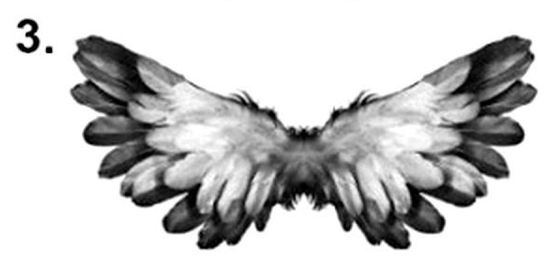 arkangelas