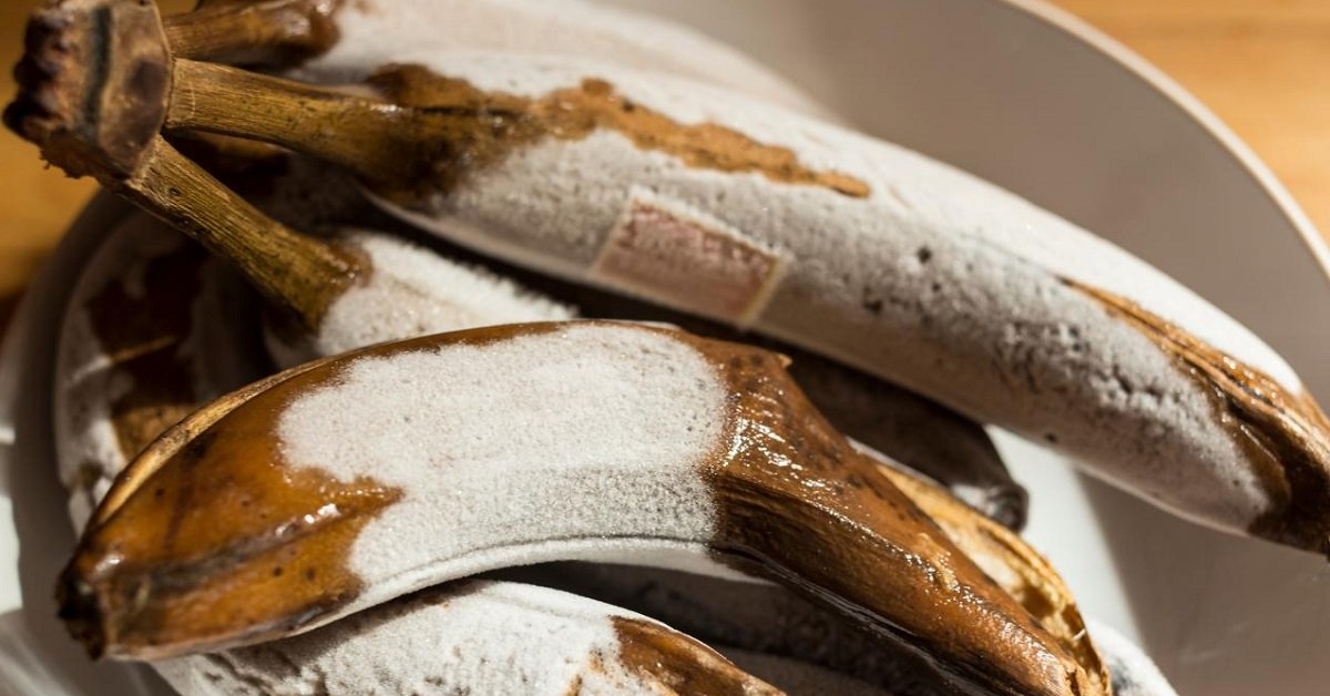 Šaldykite bananus ir turėsite labai skanų ir sveiką desertą