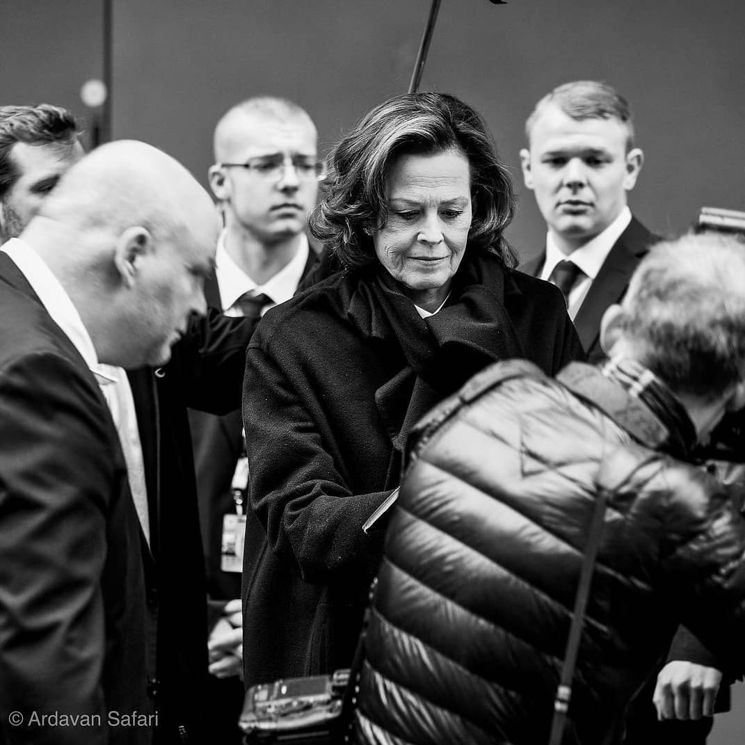 trumpi plaukai