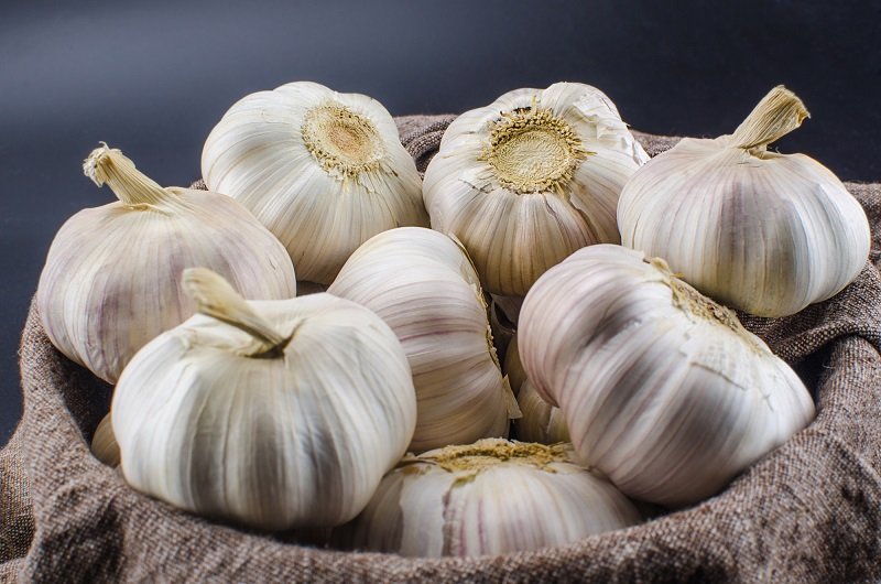 česnakus