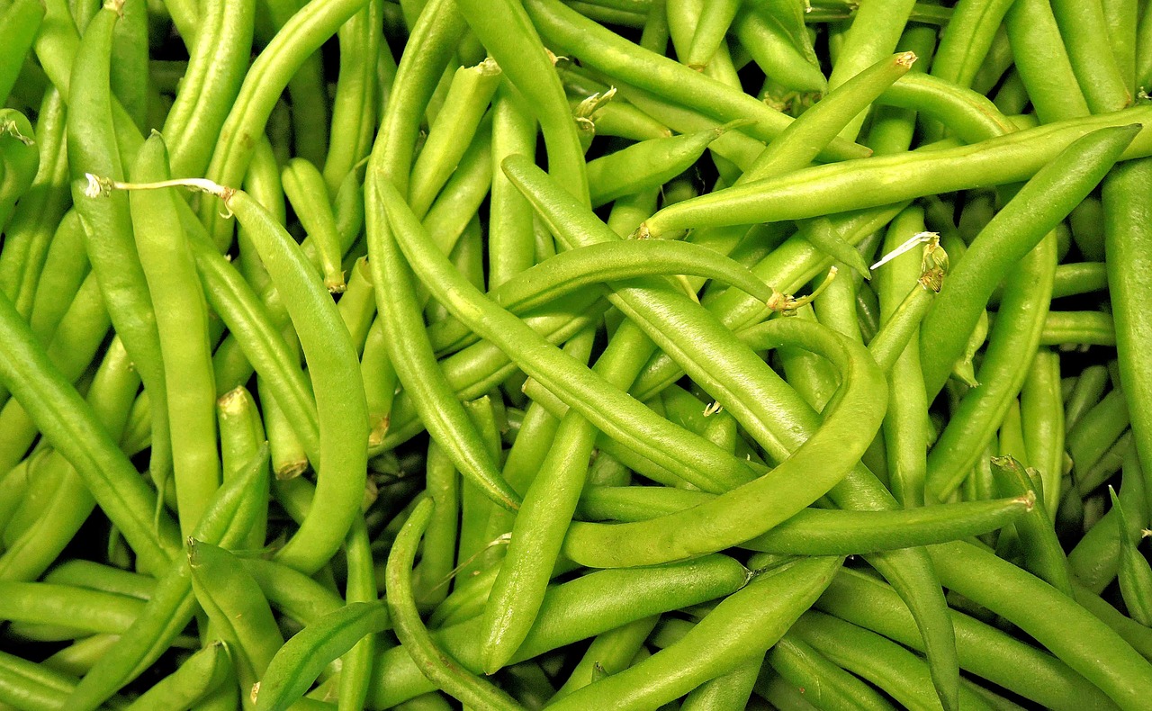 pupelės