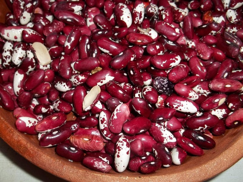 pupeles