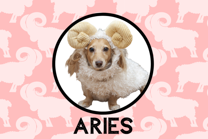<a style=