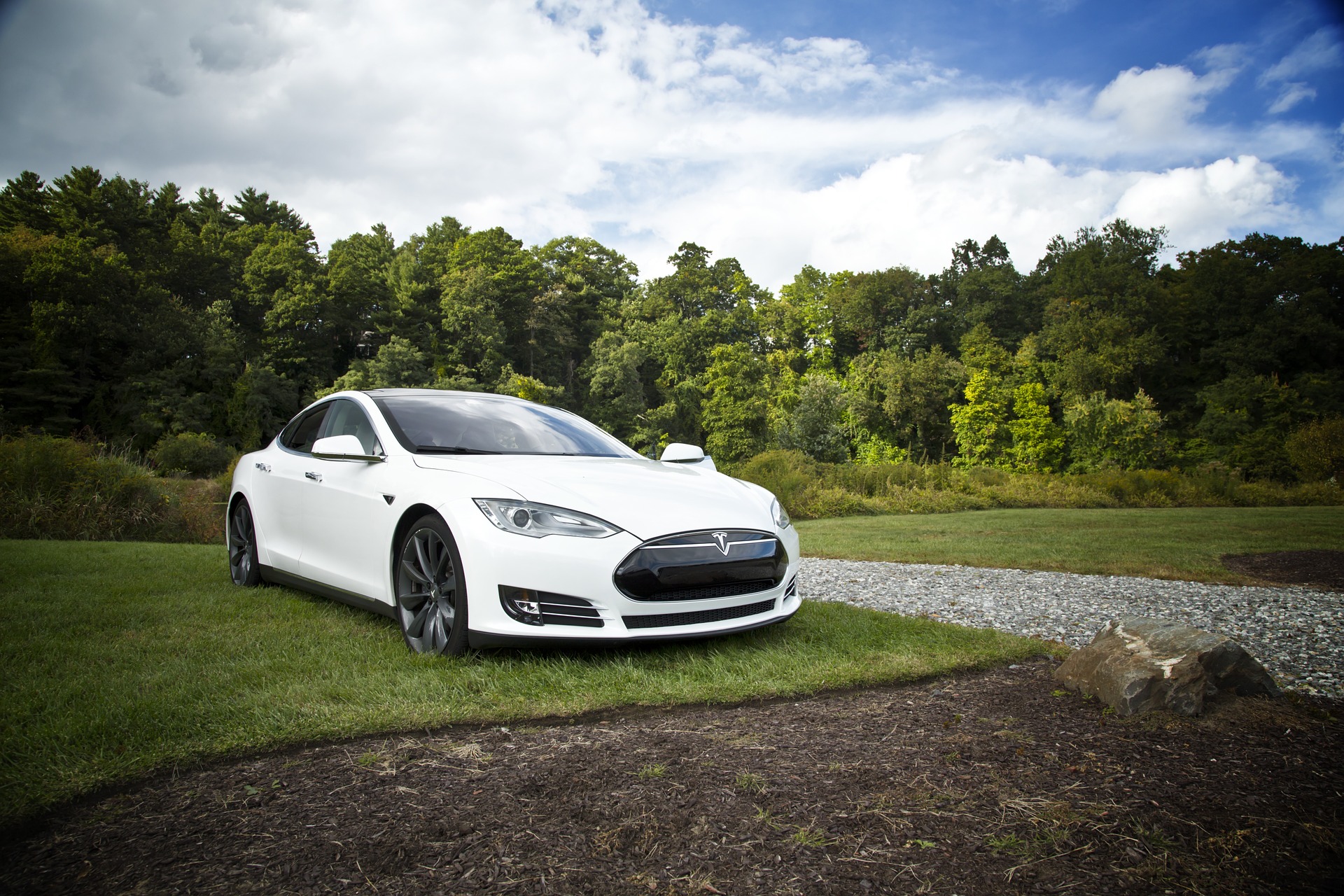 elektromobilis tesla