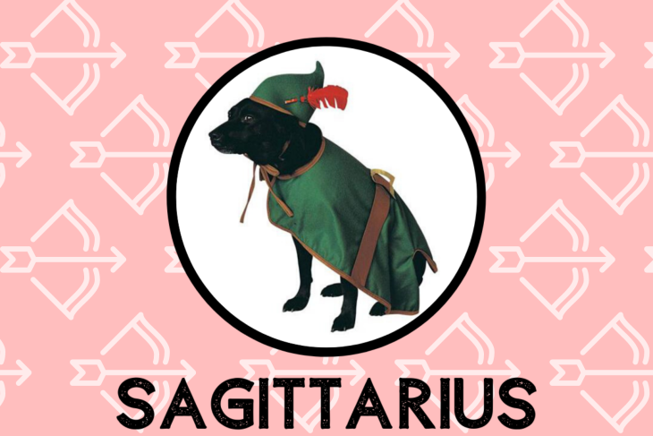 augintinis, pradžiuginti, Taro, vyrai