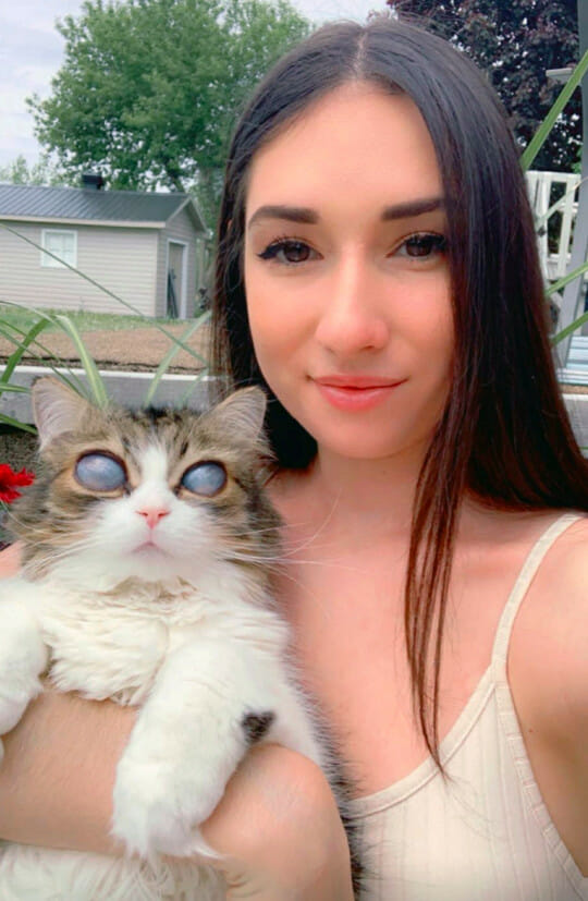 katinas