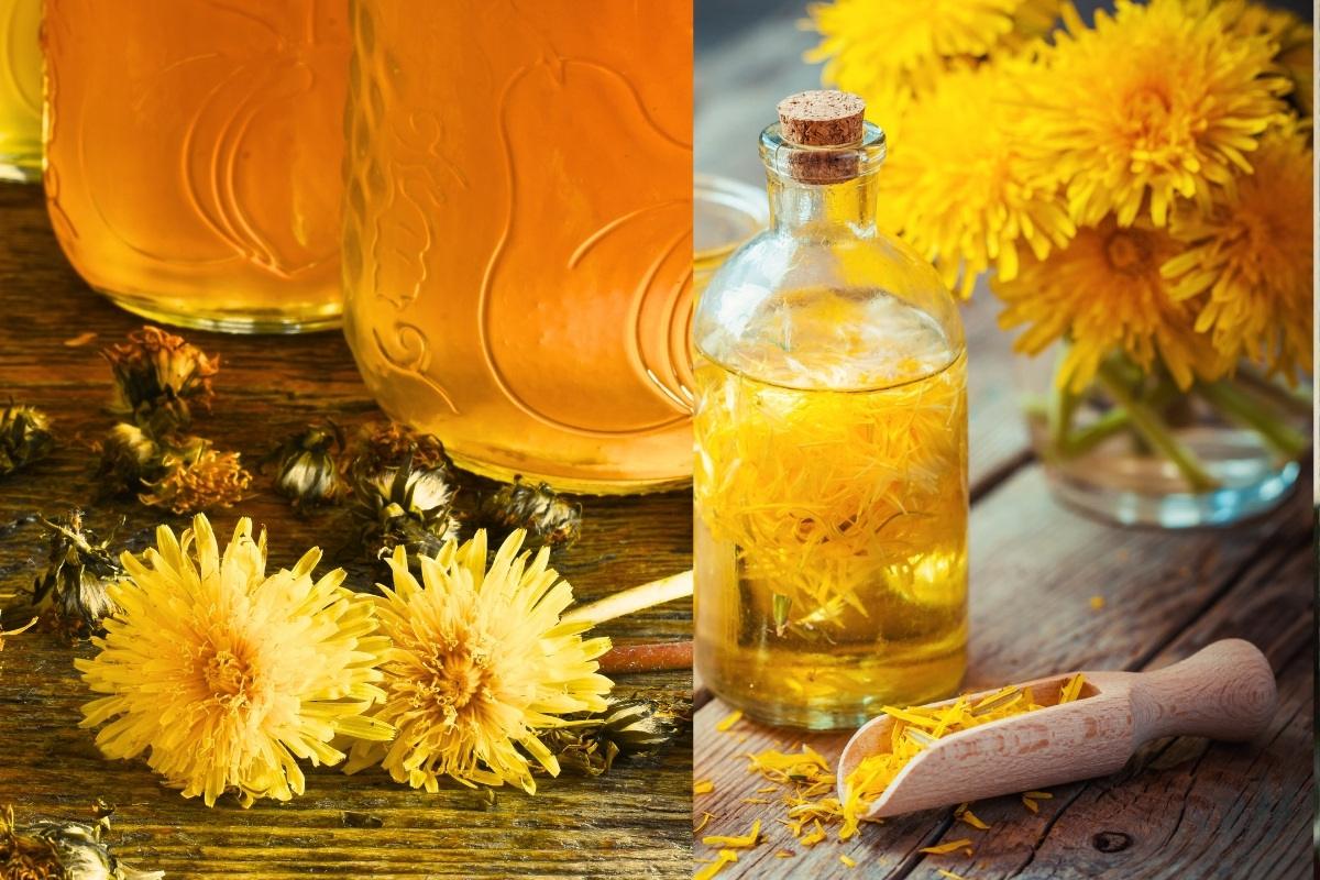 Kiaulpienių sirupas – kaip pasigaminti ir kam naudingas šis natūralus skanėstas?