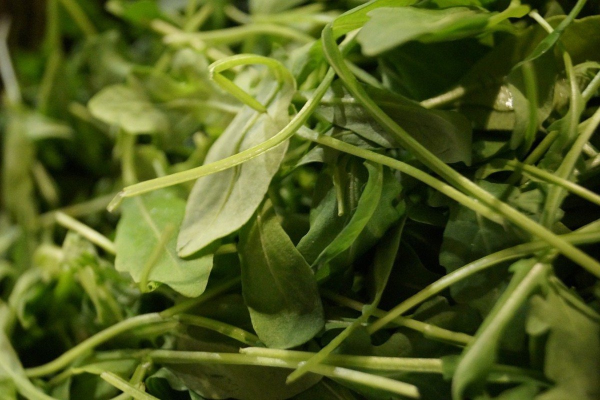 salotos