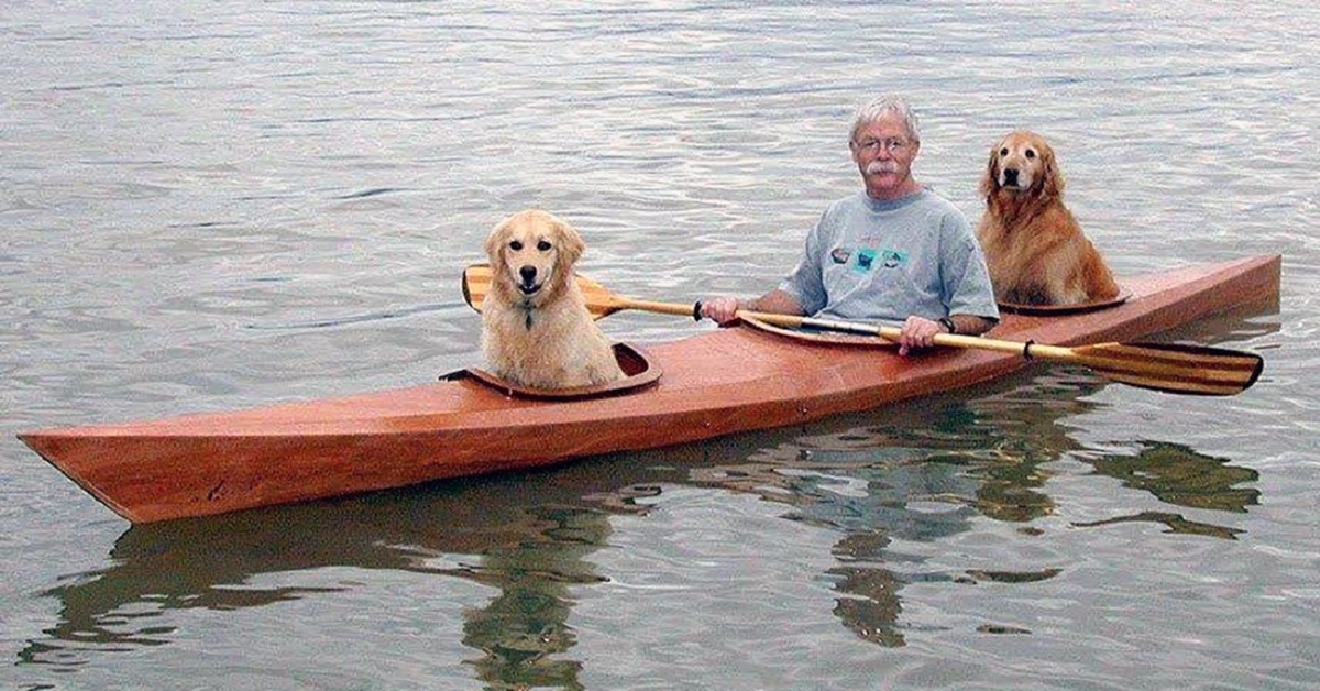Vyras padarė specialią baidarę, kad galėtų plaukioti su savo šunimis
