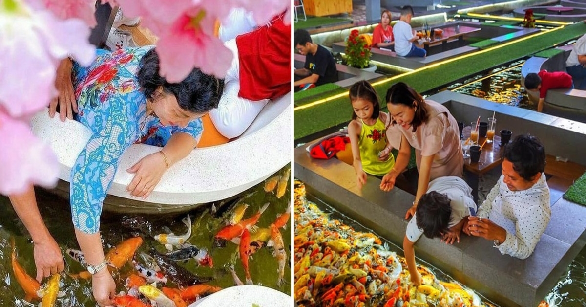 Vietname atidarytoje kavinėje galite mėgautis gėrimu vidury ežero, kuriame plaukioja žuvys