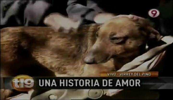 Moteris