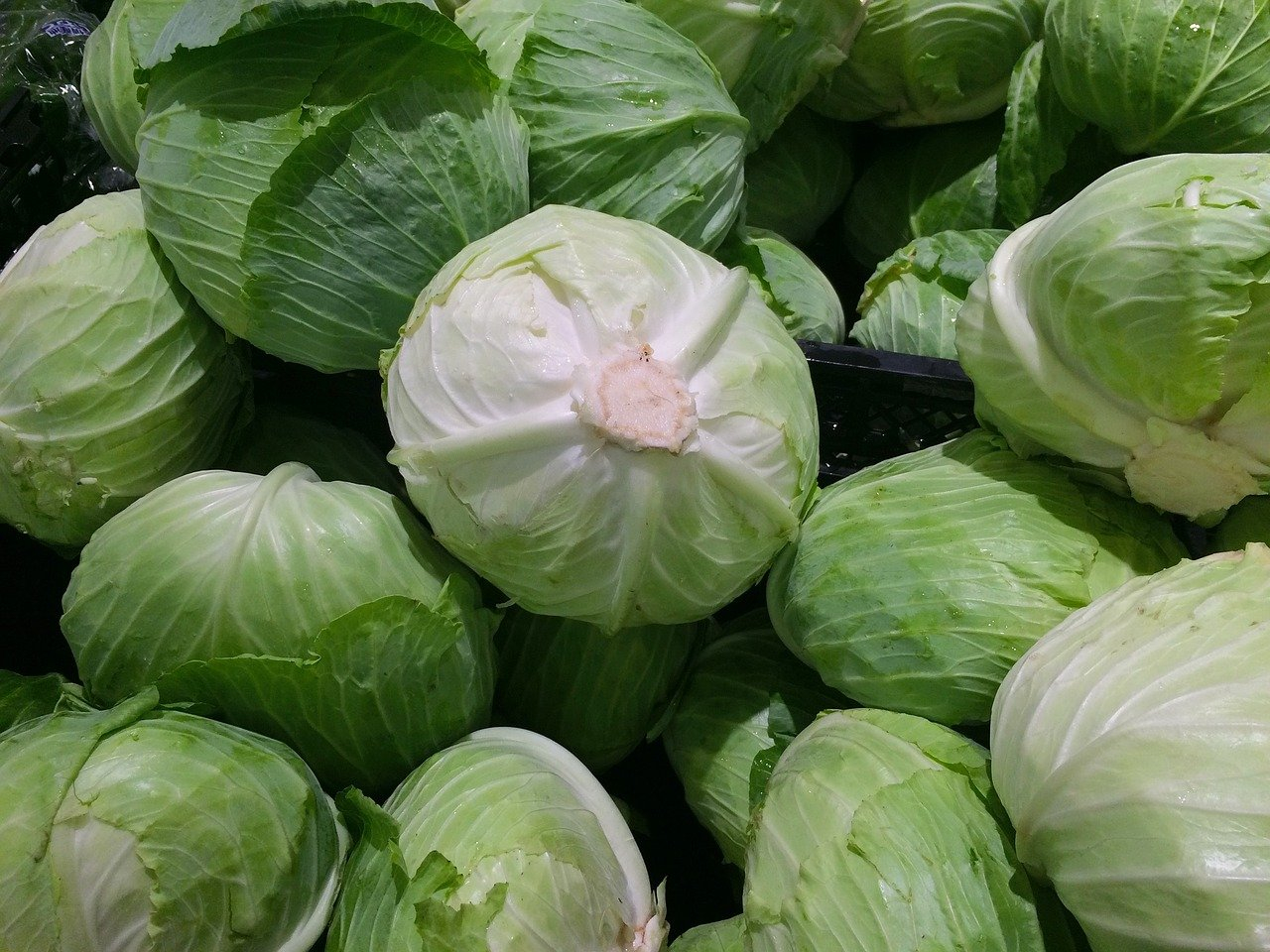 Kopūstų salotos