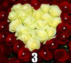 testas