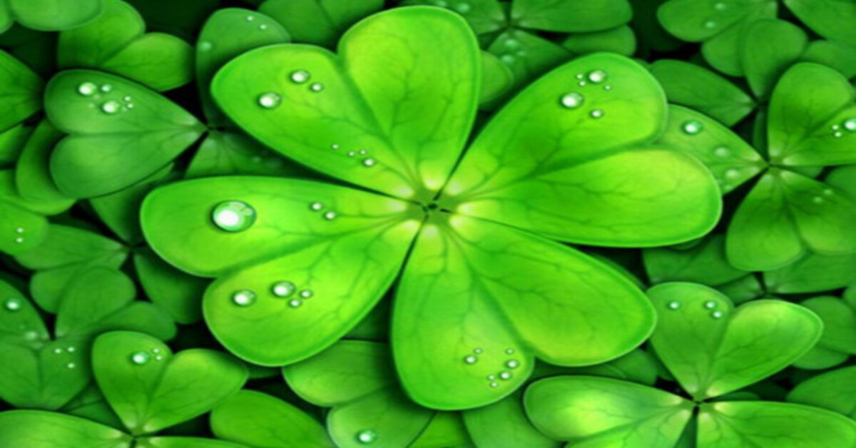 Kodėl mes atstumiame sėkmę?