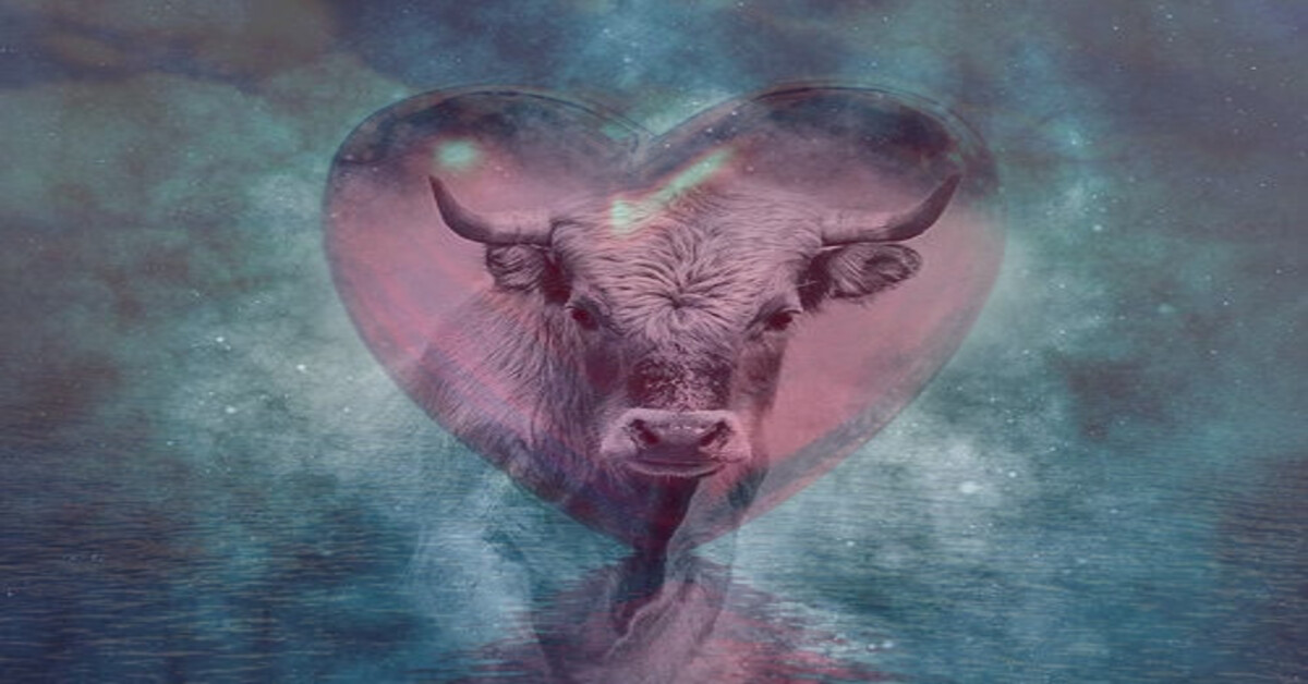 Ką turi daryti Jaučio atstovai, kad jiems sektųsi meilėje?