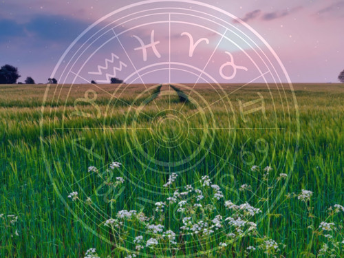 Savaitės horoskopas gegužės 27-birželio 2 dienoms