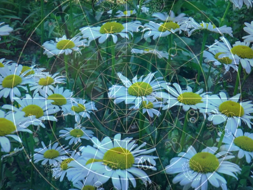 2024 metų birželio mėnesio horoskopas