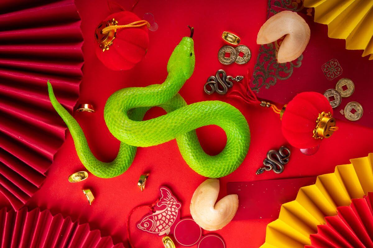 2025 metai pagal Rytų horoskopą: Medinės Gyvatės prognozės