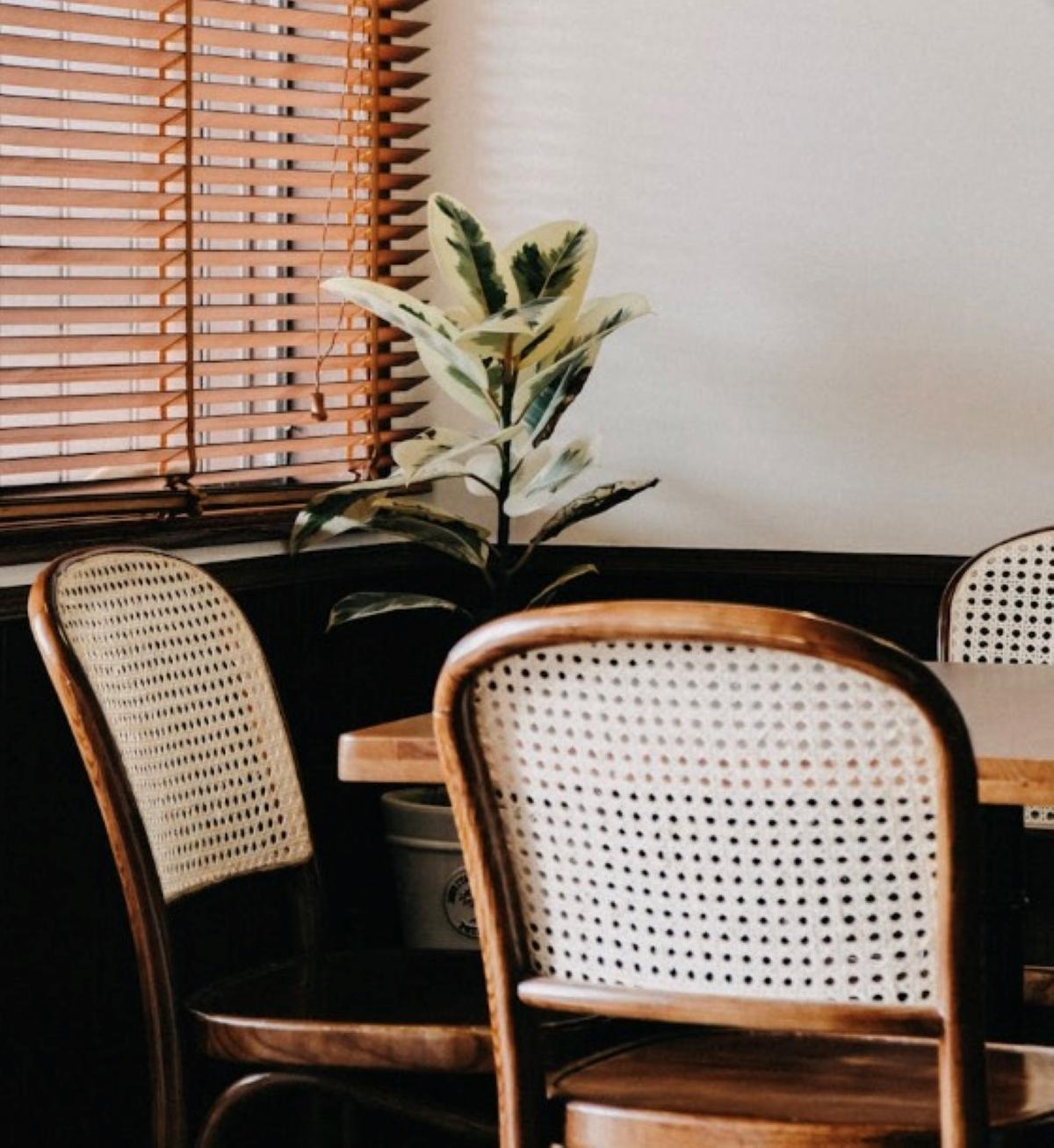 Medinių žaliuzių valymas ir priežiūra: ką reikia žinoti?