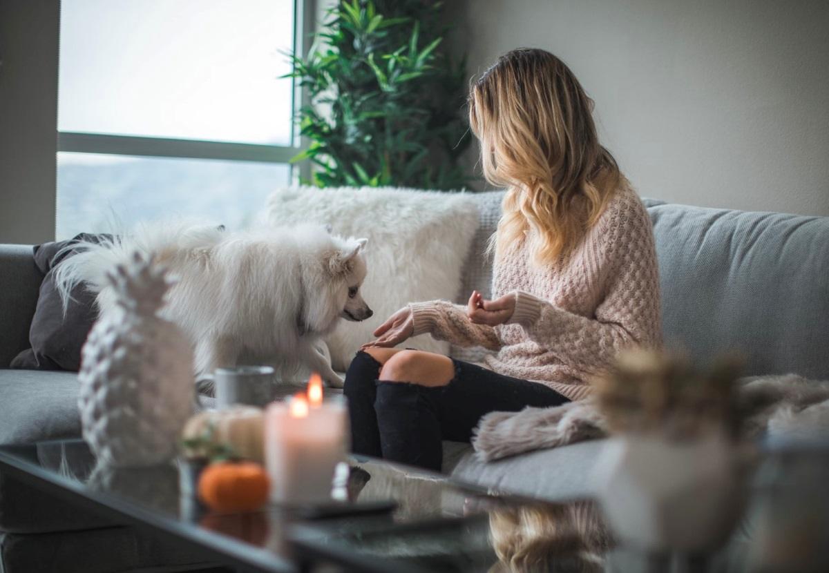 Papildai vyresnio amžiaus gyvūnams: kada pradėti ir kaip pasirinkti?