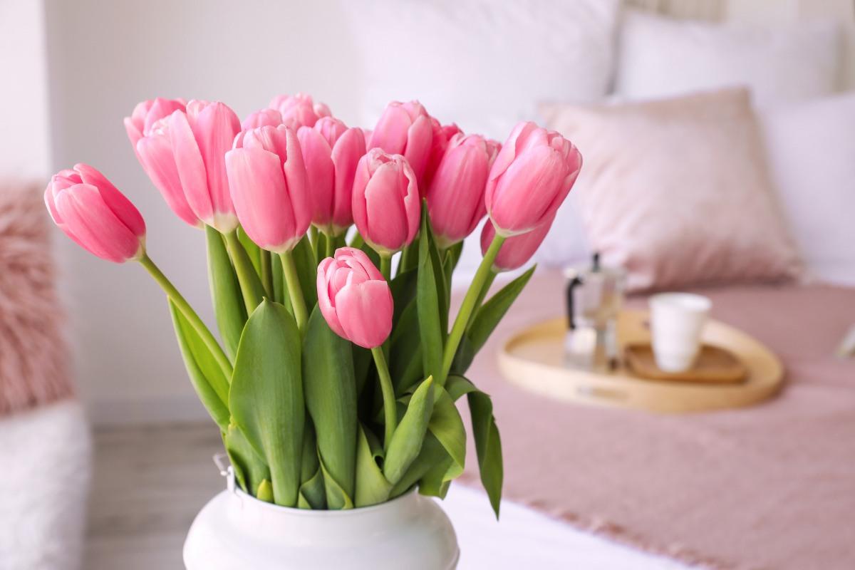 Kaip išlaikyti tulpes vazoje ilgiau? Veiksmingi patarimai