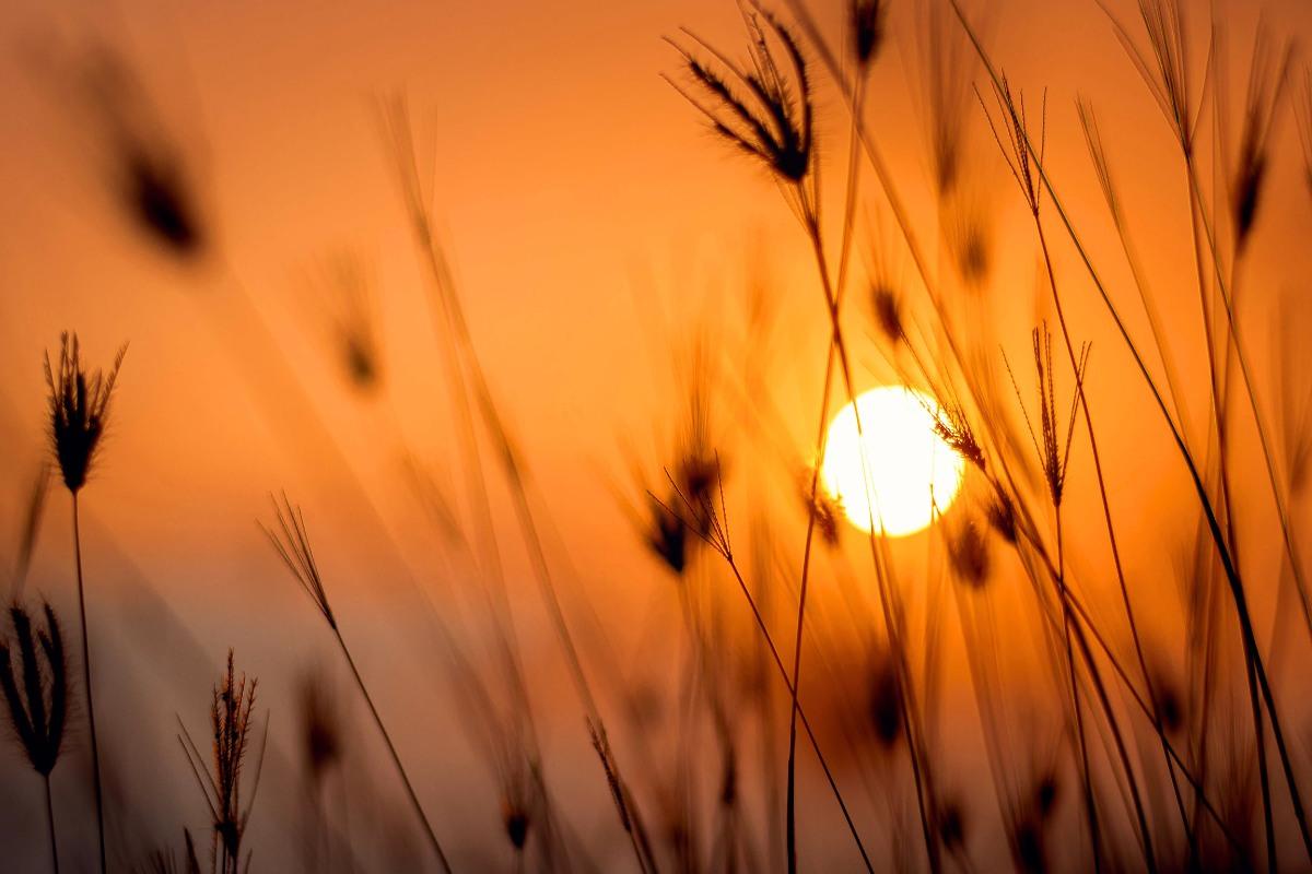 Magnetinės audros kovo 14–16 d.: prognozė ir Saulės aktyvumo poveikis