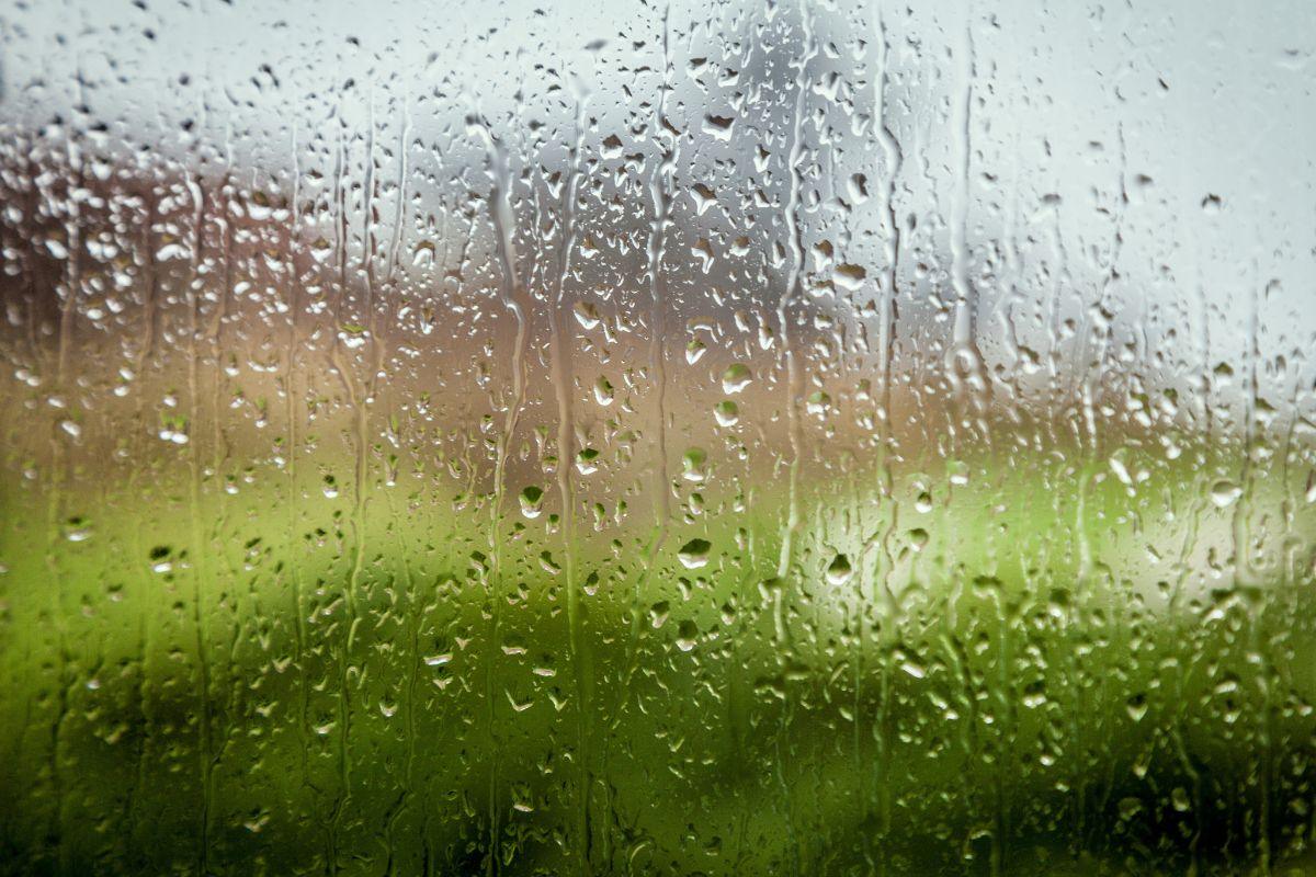 Gegužės 25–31 d. orai: lietus, rūkas ir nedidelė šiluma – savaitė išliks permaininga