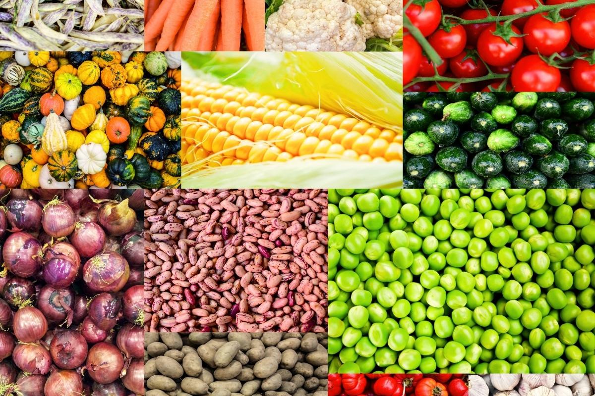 Ką dar galima pasodinti iki gegužės pabaigos: svarbiausios daržovės ir patarimai