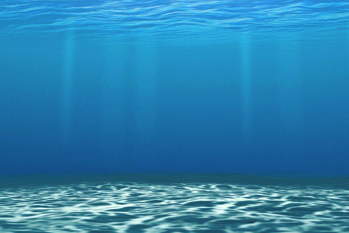 Ringvuditas – retas mineralas, kuris gali kaupti vandens molekules giliai Žemės mantijoje.