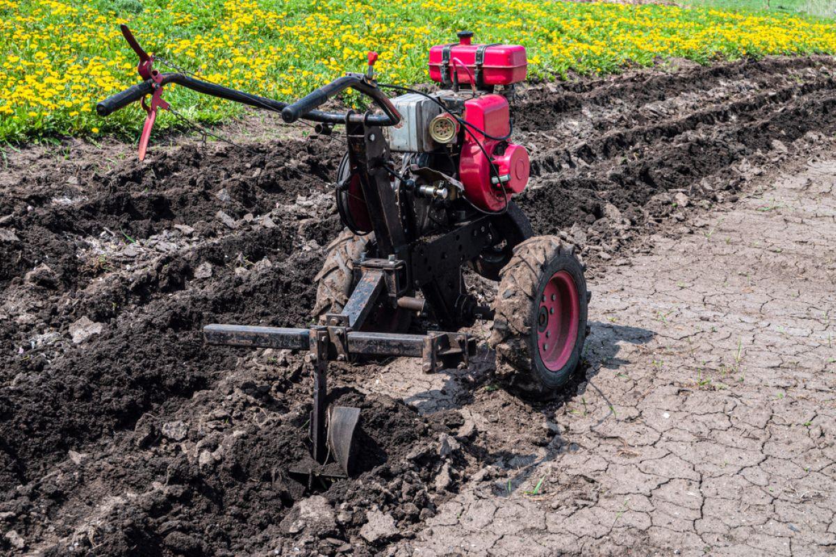 Kada verta investuoti į naują motobloką? nuotr. N-sky, shutterstock