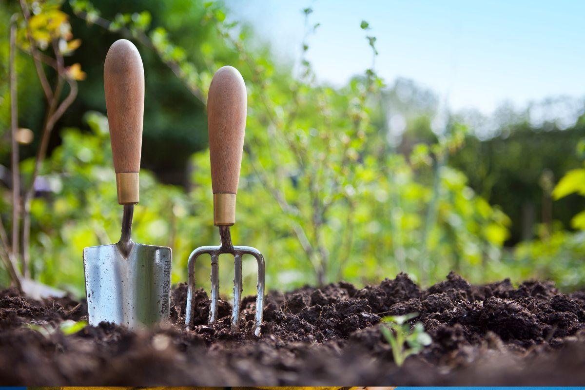 Trys augalai, kuriuos būtina sodinti kartu: garsaus sodininko patarimai